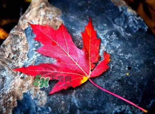 2017秋分還熱嗎？2017年秋分以后還熱嗎？