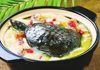 甲魚(yú)湯下奶嗎？下奶的食物有哪些？