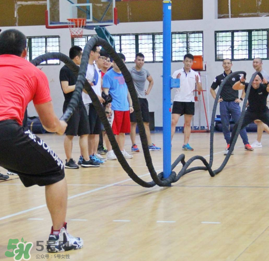 戰(zhàn)繩是有氧運(yùn)動嗎？戰(zhàn)繩是有氧還是無氧？