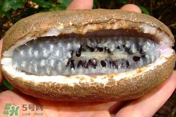 八月瓜能吃嗎？八月瓜到底有什么價(jià)值？