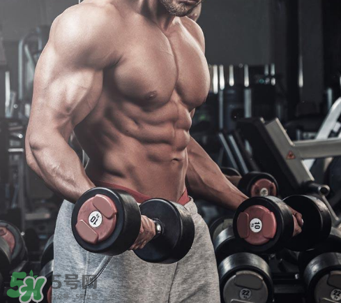 肌酸能空腹喝嗎？肌酸可以天天吃嗎？