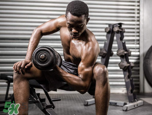 肌酸是什么東西？肌酸是興奮劑嗎？