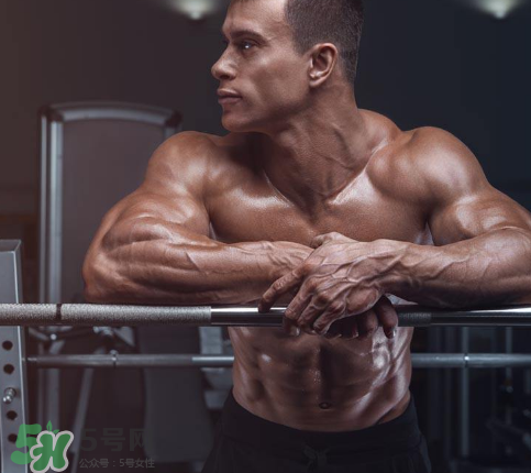 肌酸吃多久需要停用？肌酸吃多了會怎么樣？