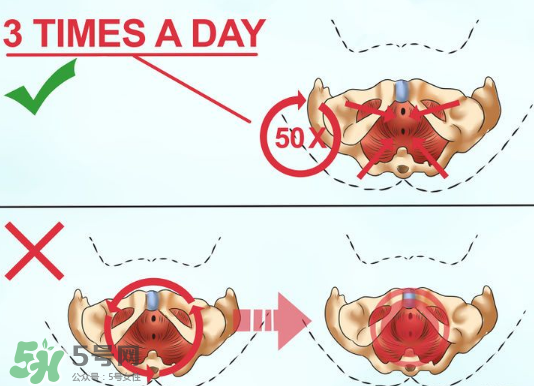 鍛煉pc肌真的有用嗎？練pc肌可以增長性愛時間嗎？