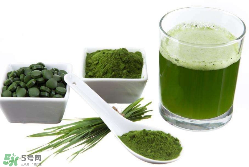 怎么辨別螺旋藻的真假？買螺旋藻怎么挑？