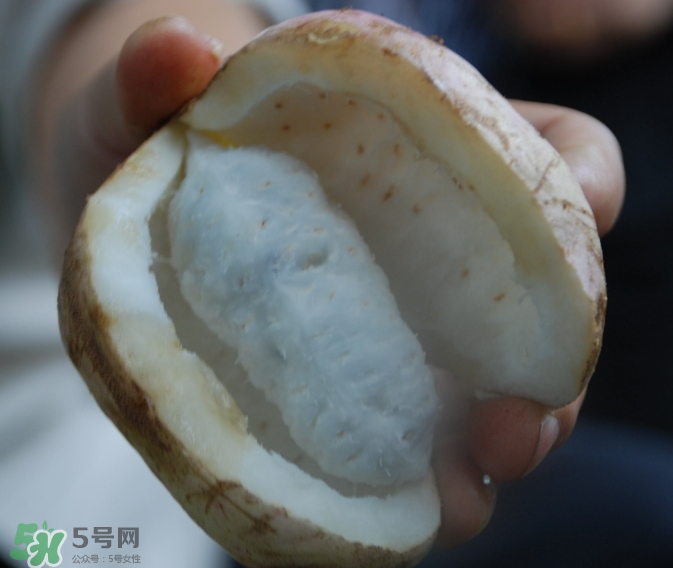 八月瓜可以經常吃嗎？八月瓜可以多吃嗎？