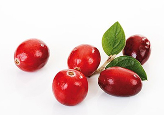 蔓越莓和越橘有什么區(qū)別？蔓越莓多少錢一斤2017？