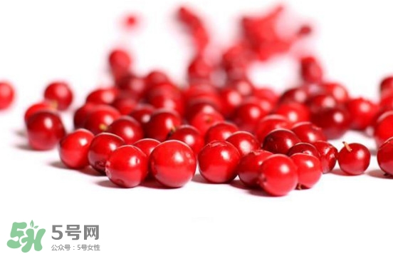 蔓越莓和越橘有什么區(qū)別 蔓越莓多少錢一斤 蔓越莓和越橘有什么區(qū)別 蔓越莓多少錢一斤