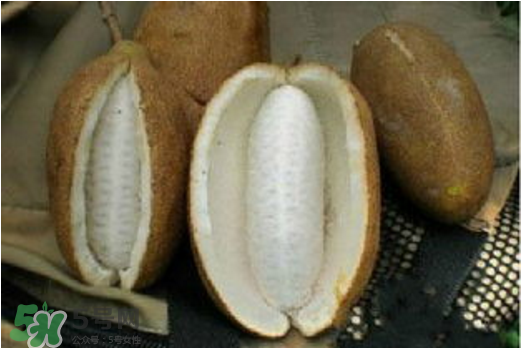 八月瓜可以美容嗎？八月瓜怎么吃有美容效果？