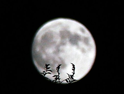 中秋節(jié)能上墳嗎？中秋節(jié)上墳買什么水果？