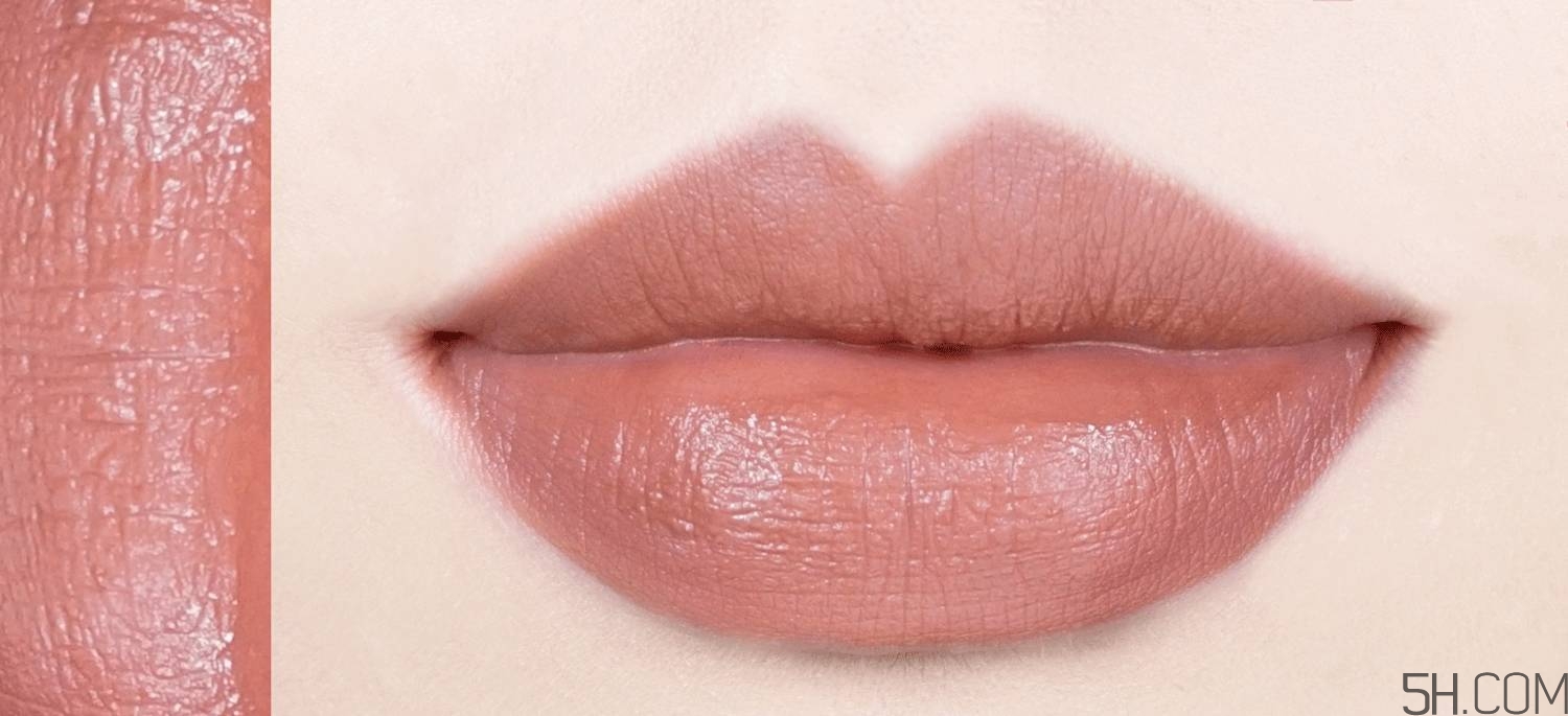 吃土色口紅推薦牌子 土色口紅是什么顏色圖片 吃土色口紅推薦牌子 土色口紅是什么顏色圖片