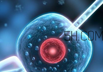 染色體異?？梢宰鲈嚬軏雰簡?？染色體異常能要孩子嗎？