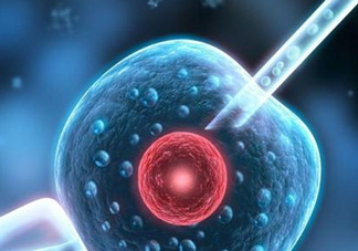 染色體異?？梢宰鲈嚬軏雰簡?？染色體異常能要孩子嗎？