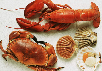 螃蟹的屎在哪里？螃蟹的屎和蟹黃怎么分辨？