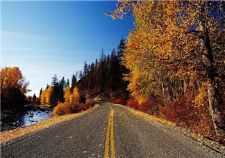 秋天喝蜂蜜有什么好處？秋天吃什么對身體好？