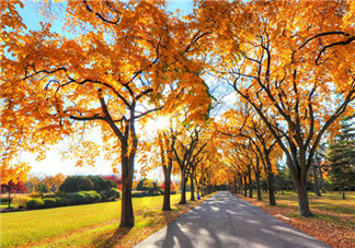 立秋后吃什么魚好？秋老虎吃什么解暑？