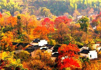 秋季滋補(bǔ)養(yǎng)生越補(bǔ)越好嗎？2017年秋天是幾月份？