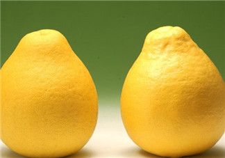 柚子不能和什么一起吃？文旦和柚子的區(qū)別