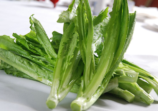 油麥菜為什么叫油麥菜？油菜和油麥菜的區(qū)別