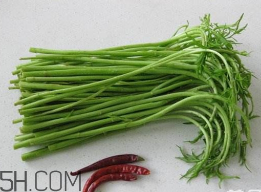 擇藜蒿手臟怎么洗？藜蒿和水芹菜的區(qū)別