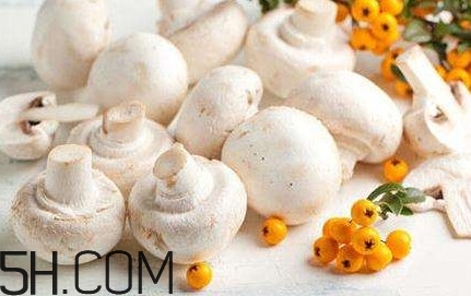 口蘑怎么吃？口蘑不能和什么一起吃