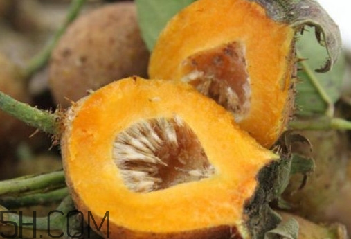 刺梨是酸性還是堿性？刺梨是涼性還是熱性