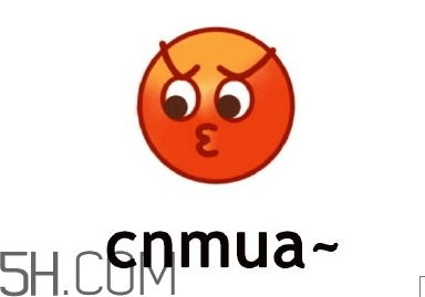 cnmua是什么意思？cnmua無(wú)水印表情包