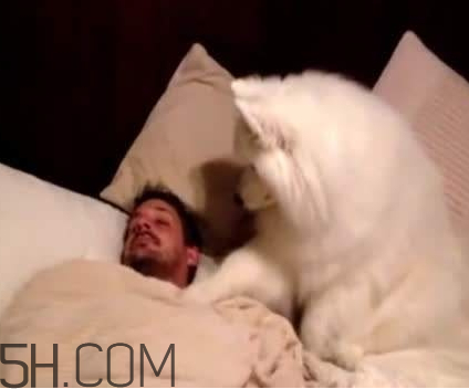 吸鴨的危害 吸鴨的好處 吸鴨的危害 吸鴨的好處