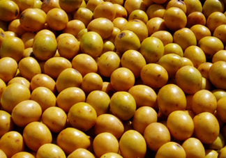 南酸棗是棗嗎？南酸棗的核如何做手串