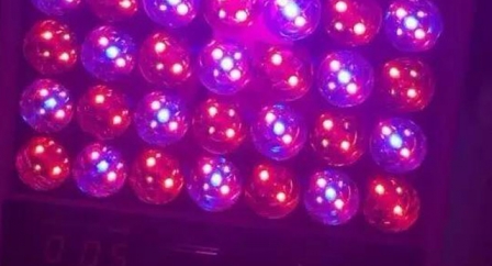 大排燈和小排燈的區(qū)別 大板子和小可愛的區(qū)別 大排燈和小排燈的區(qū)別 大板子和小可愛的區(qū)別