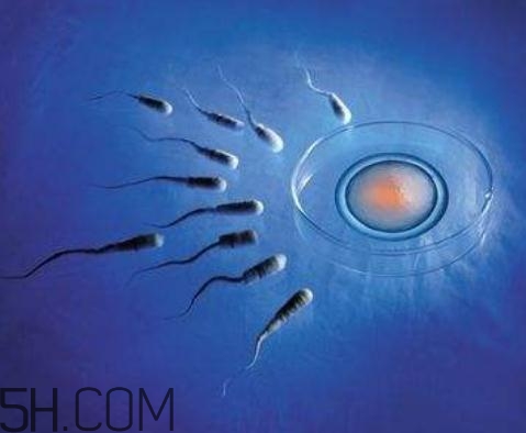 弱精癥能做試管嬰兒嗎？弱精癥可以人工受精嗎？