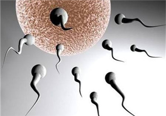 無精癥能射精嗎？無精癥能勃起嗎？