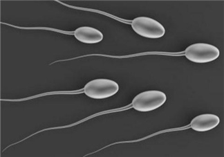 弱精癥可以治愈嗎？弱精癥吃什么藥好得快？