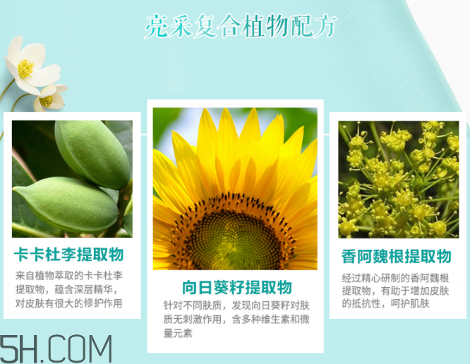 玫琳凱亮采爽膚水 玫琳凱亮采爽膚水