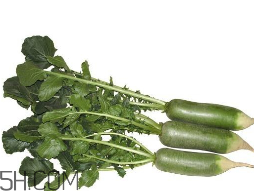 青蘿卜什么時(shí)候收獲 青蘿卜什么時(shí)候上市 青蘿卜什么時(shí)候收獲 青蘿卜什么時(shí)候上市