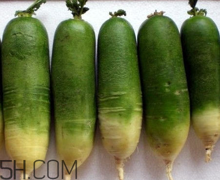 青蘿卜是堿性還是酸性 綠蘿卜是酸性還是堿性 青蘿卜是堿性還是酸性 綠蘿卜是酸性還是堿性