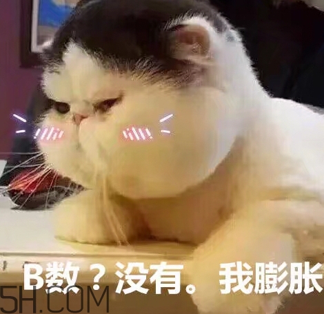 b數(shù)沒有我膨脹什么意思？b數(shù)沒有我膨脹表情包