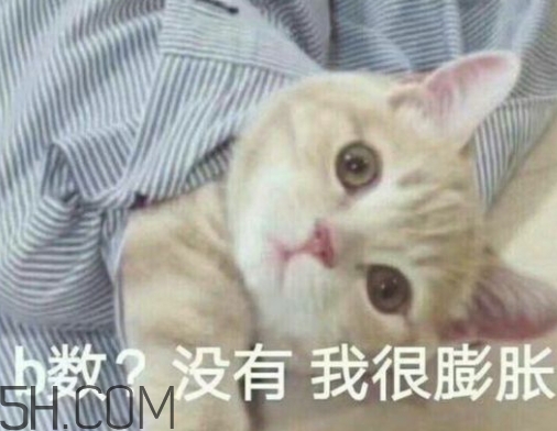 b數(shù)沒有我膨脹什么意思？b數(shù)沒有我膨脹表情包