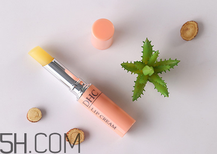 潤唇膏排行榜前十名 平價(jià)好用的潤唇膏推薦 潤唇膏排行榜前十名 平價(jià)好用的潤唇膏推薦