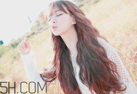 女生說yp到底什么意思？女生發(fā)消息yp什么意思？