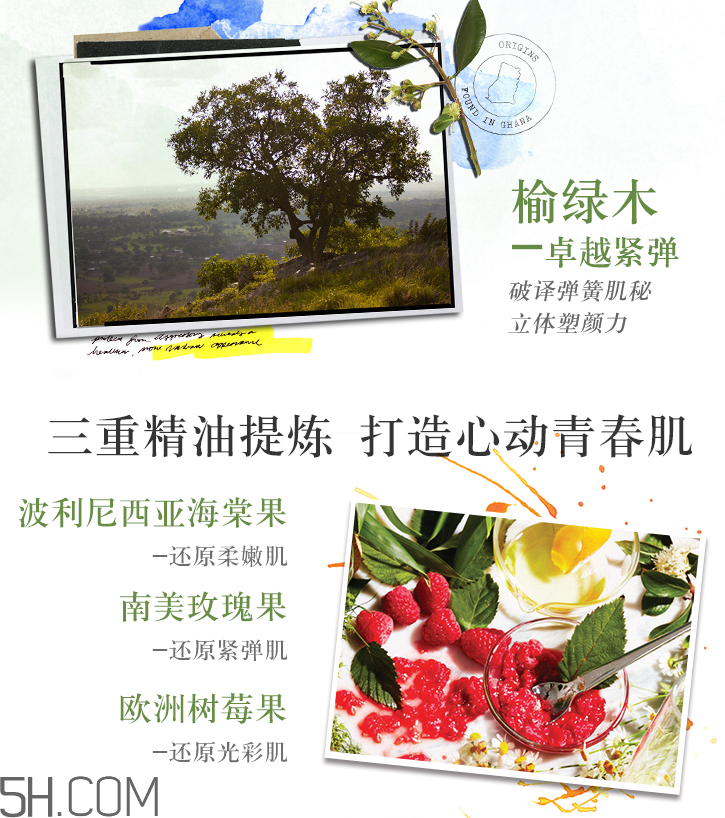 悅木之源榆綠木青春緊彈精華面膜 悅木之源榆綠木青春緊彈精華面膜