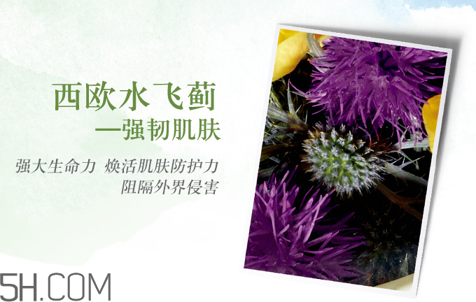 悅木之源韋博士卓越防護(hù)精華油 悅木之源韋博士卓越防護(hù)精華油