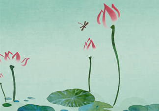 佰草世家效果真的假的？佰草世家怎么樣？