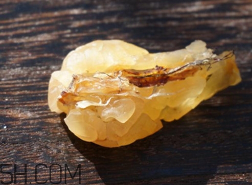 雪蛤能空腹吃嗎？哪里可以買(mǎi)到純正的長(zhǎng)白山雪蛤