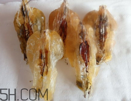 雪蛤多久吃一次？吃雪蛤要注意些什么