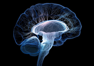 腦死亡和人死亡有什么區(qū)別？腦死亡人還有救嗎