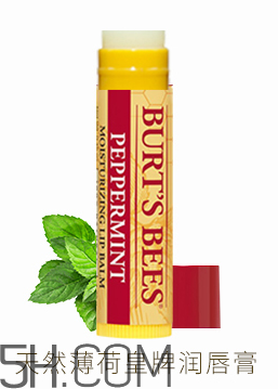 小蜜蜂水果味皇牌潤(rùn)唇膏 小蜜蜂水果味皇牌潤(rùn)唇膏