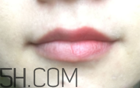 小蜜蜂唇膏筆怎么樣？小蜜蜂唇膏筆好用嗎？