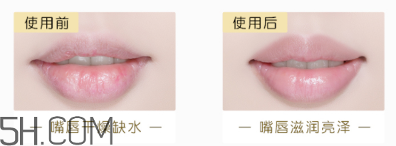 小蜜蜂細致修護皇牌潤唇膏 小蜜蜂細致修護皇牌潤唇膏