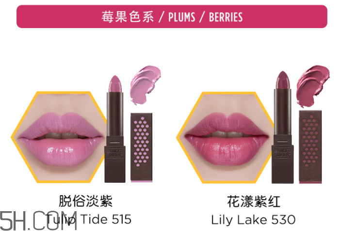 小蜜蜂炫彩豐凝潤唇膏 小蜜蜂炫彩豐凝潤唇膏